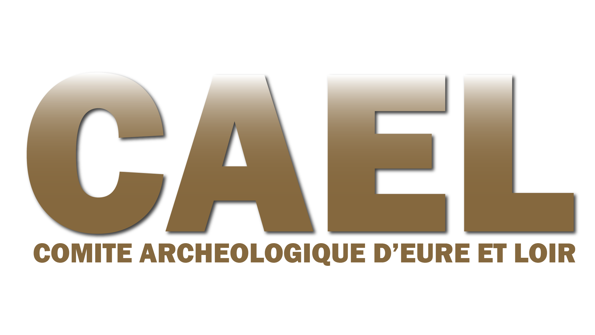 LOGO_CAEL-01